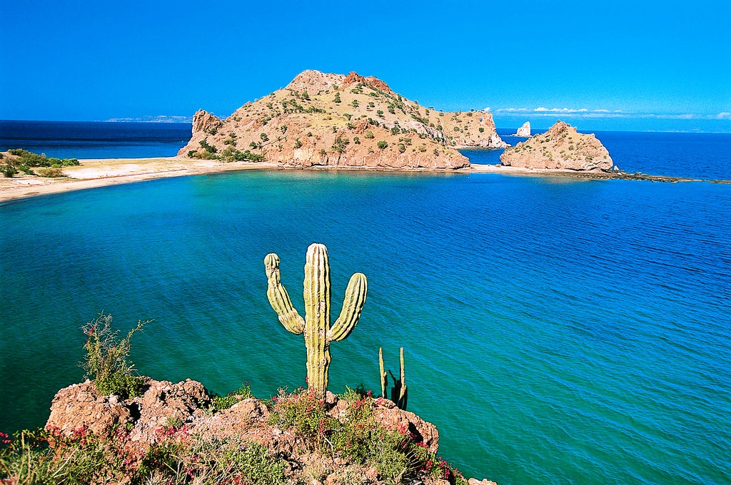 Baja California - Mare di Cortez - Messico