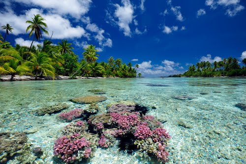 Polinesia Francese agosto 2017